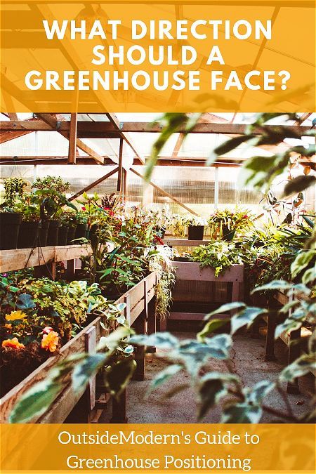 Best Location For Greenhouse, Setting Up Greenhouse, Greenhouse Placement In Yard, Green House Set Up Inside, Small Greenhouse Set Up Inside, Green House Interiors, Greenhouse Set Up, Greenhouse Orientation, Greenhouse Must Haves