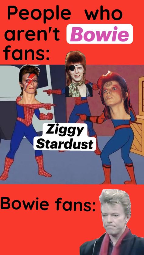 I feel like this happens so often am I the only one? #davidbowie #ziggystardust #aladdinsane #halloweenjack #rock #70s #meme Ziggy Stardust Halloween, Angie Bowie, David Bowie Fan Art, Ziggy Played Guitar, British Man, Bowie Ziggy Stardust, Bowie Starman, Station To Station, Aladdin Sane