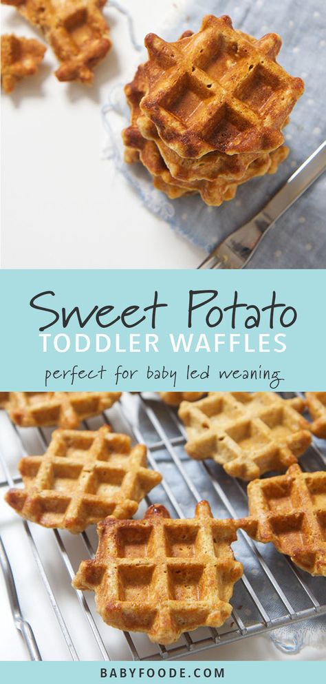 These mini sweet potato waffles are perfect for baby's first finger foods - easy to grasp, easy to gnaw on and easy for you to enjoy right along with them! They're a delicious and healthy breakfast, snack, and also great for school lunches! #waffes #babyledweaning Baby First Finger Foods, Sweet Waffles, First Finger Foods, Potato Waffles, Sweet Potato Waffles, Baby Led Weaning Recipes, Weaning Recipes, Finger Foods Easy, Toddler Snacks