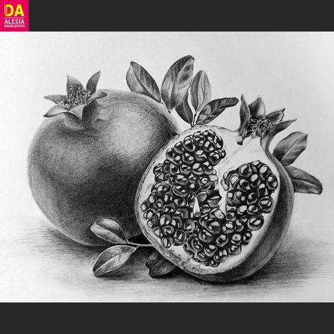 Pomegranate Sketch, Pomegranate Drawing, Photos For Drawing, Art Homework, Pomegranate Art, Fruits Drawing, Gcse Art Sketchbook, Tools Drawing, Realistic Pencil Drawings