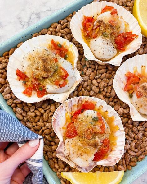 You searched for seafood - de socio in the kitchen Scallops On The Half Shell Recipe, Scallops In Shell, Frozen Scallops, How To Cook Scallops, Baked Scallops, Grilled Scallops, Stuffed Shells Recipe, Scallop Recipes, Awesome Food