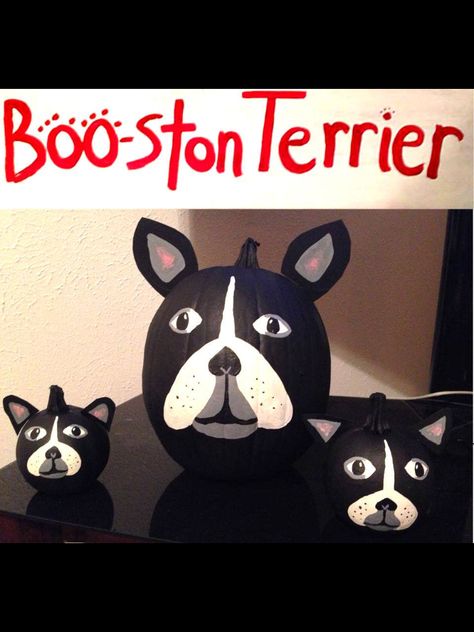 Boston pumpkins Boston Terrier Pumpkin, English Terrier, Fall Cat, Pumkin Carving, No Carve Pumpkin Decorating, Bully Breed, Pumpkin Contest, Boston Terrier Love, Dog Crafts