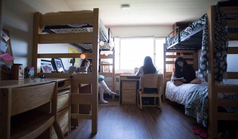 USFCA Dorms-triple Triple Dorm Room Ideas, Triple Dorm, Dorm Room Essentials List, Dorm Room Organization Diy, Dorm Room Necessities, University Of San Francisco, Room Interior Design Ideas, Dorm Stuff, Closet Diy