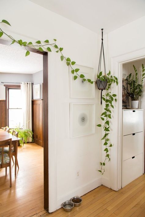 Dans l'entrée, la vigne d'intérieur prend ses aises Smart Tiles, Small Room Decor, Pothos Plant, Room With Plants, Design Del Prodotto, Easy Home Decor, Cheap Home Decor, 인테리어 디자인, White Walls