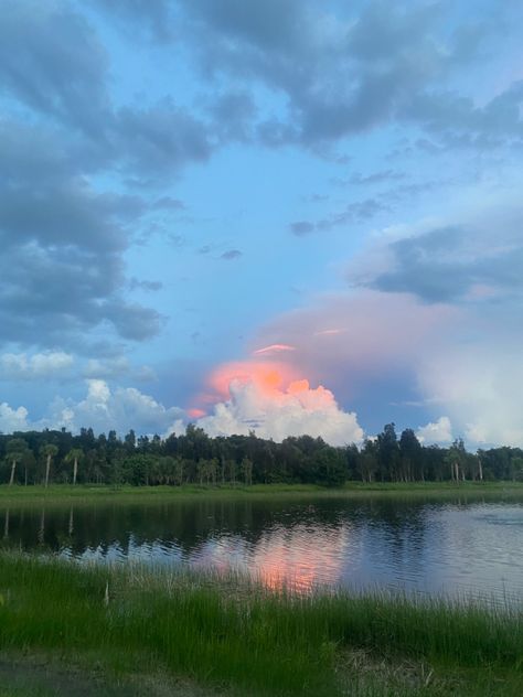 Swamp southern florida Quiet Fashion, Florida Swamp, Southern Florida, Strawberry Girl, Florida Sunset, Pretty Backgrounds, Miami Heat, Holland, Miami