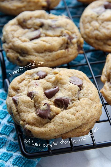 Perfect Soft Batch Pumpkin Chocolate Chip Cookie Recipe from bakedbyrachel.com Chocolate Board, Chocolate Potato Chips, Soft Batch, Chocolate Chip Pudding, Paleo Chocolate Chip Cookies, Banana Chocolate Chip Cookies, Chocolate Chip Pudding Cookies, Mini Chocolate Chip Cookies, Homemade Chocolate Chips