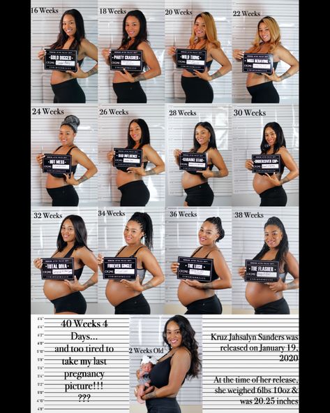 Doing time in the womb photography Baby Development Chart In Womb, Baby Growth Chart In Womb, Weekly Pregnancy Pictures, Pregnancy Picture Ideas, Baby In Womb, Weekly Pregnancy, Baby Growth Chart, 3 Month Baby, Baby Growth