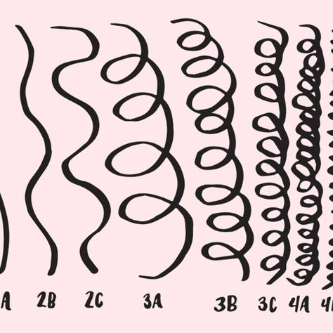 How to Figure Out Your Curly Hair Type and Why It Actually Helps Black Hair Types Texture, Type 4 Hair Curl Pattern, Render Curly Hair, Types Of Black Hair, Curl Pattern Chart, Curl Type Chart, Types Of Curly Hair, Type Chart, Curl Types