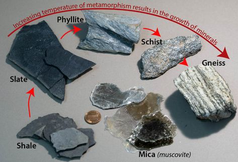 Schist Rock, Mica Rock, Rock Identification, Rock And Minerals, Rocks And Fossils, Silicate Minerals, Metamorphic Rocks, Sedimentary Rocks, Rock Minerals