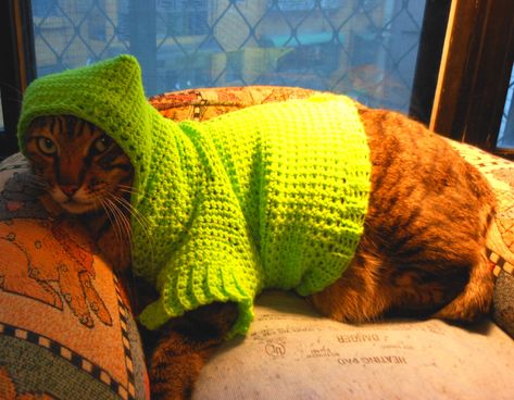 Cat Sweater Pattern, Chat Sphynx, Cat Christmas Sweater, Dog Sweater Crochet Pattern, Crochet Cat Hat, Crochet Hoodie, Crochet Dog Sweater, Kitty Clothes, Diy Sweater