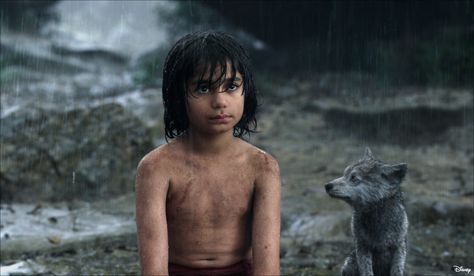 Neel Sethi, Jungle Book 2016, Jungle Book Movie, Jungle Book Characters, Movies To Watch Online, The Jungle Book, Rudyard Kipling, Idris Elba, Bill Murray