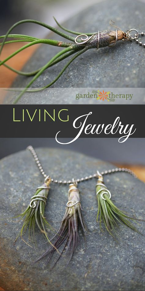 Gorgeous living jewelry made from air plants Living Jewelry, Organic Accessories, Air Plants Decor, Air Plant Display, Plant Jewelry, Diy Jewelry Inspiration, Pet Rocks, Nature Crafts, Arte Floral