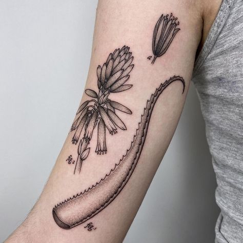 Aloe Tattoo, Aloe Tattoo Design, Tattoo Venus Fly Trap, Aloe Vera Plant Tattoo, Aloe Vera Tattoo, Venus Flytrap Tattoo Design, Bug And Plant Tattoos, Garden Tattoos, Plant Tattoo