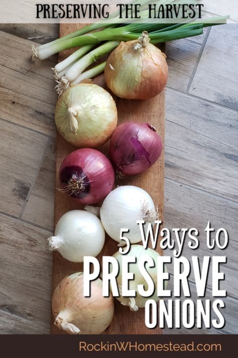 Preserving Onions, Dehydrate Onions, Preserve Onions, Freeze Onions, Freezing Onions, Storing Onions, Canning Granny, Preserving Vegetables, Preserving Recipes