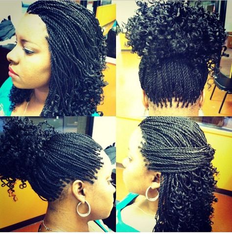 Senegalese twists braids with curls at the end Havana Twist Hairstyles, Micro Braids Hairstyles, Faux Loc, Senegalese Twist Braids, Senegalese Twist Hairstyles, Colorful Hairstyles, Twisted Hair, Pelo Afro, Senegalese Twist