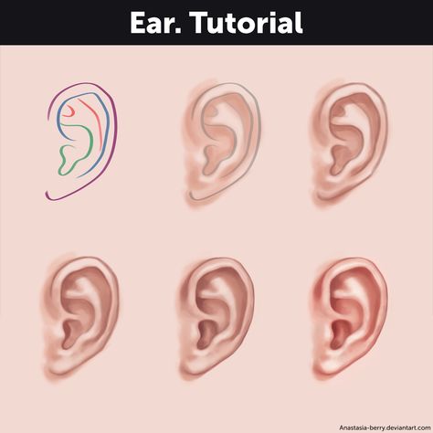 Ibis Paint Tutorial, Digital Art Programs, Digital Art Tutorial Beginner, How To Draw Ears, Paint Tutorial, Ear Art, Digital Painting Techniques, Digital Art Beginner, Digital Portrait Art