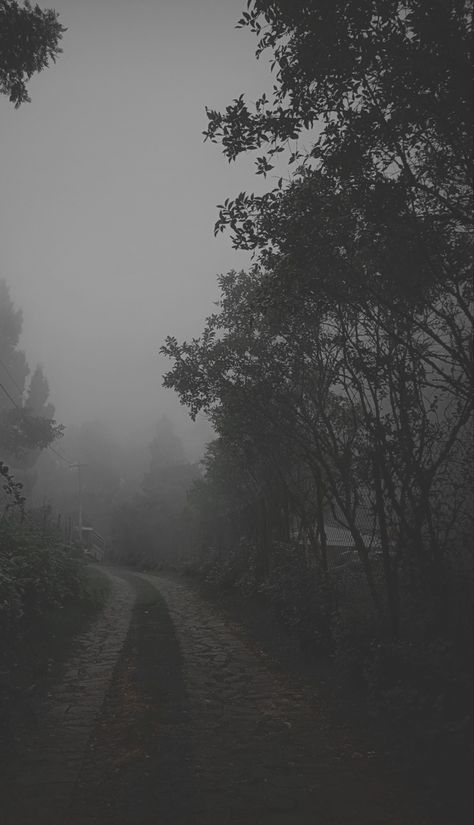 Unforgiving Fog, Evermore Aesthetic, Real Aesthetic, Dark Naturalism, Dark Forest Aesthetic, Foggy Weather, Forest Aesthetic, Morning Fog, Dark Green Aesthetic