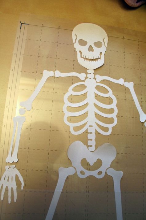 skeleton How To Make A Skeleton, Paper Skeleton, Cardboard Skeleton, Skeleton Cut Out, Cardboard Skull Template, Free Printable Skeleton Template, Skeleton Tshirt Cutout Diy, Halloween Decorations For Kids, Skeleton Decorations