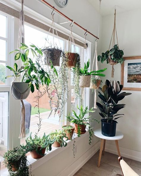 hanging plants plant hangers plant shelfie cute pots for plants plant display plant gang plant family green foliage plants leaves plants at home living with plants houseplants indoor plants plants decor home decor interior style plant corner scandinavian living vintage style urban jungle indoor jungle minimalist design boho decor gardening living room decor #houseplants #homedecor Window Shelf For Plants, Window Plant Shelf, Window Plants, Indoor Window, Hanging Plants Indoor, Houseplants Indoor, Plant Decor Indoor, Zoe Kravitz, House Plants Decor