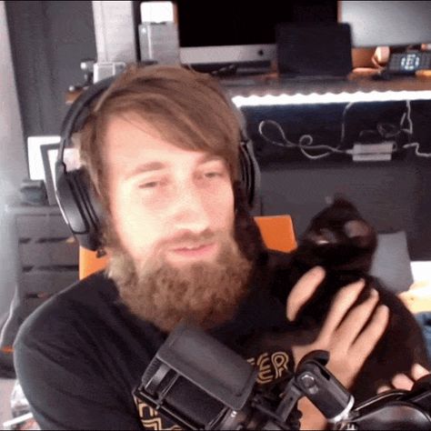 Pet Rooster, Gavin Free, Achievement Hunter, Home Cat, Rooster Teeth, Intj, Cat Cat, Cat Gif, Work From Home