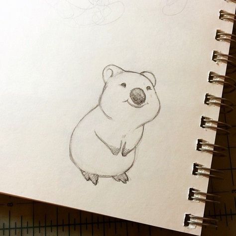 Animal World Drawing, Cute Quokka Drawing, Quokka Drawing Cute, Quokka Sketch, Wombat Sketch, Quokka Doodle, Quokka Tattoo, Drawing Warm Ups, Happy Sketches