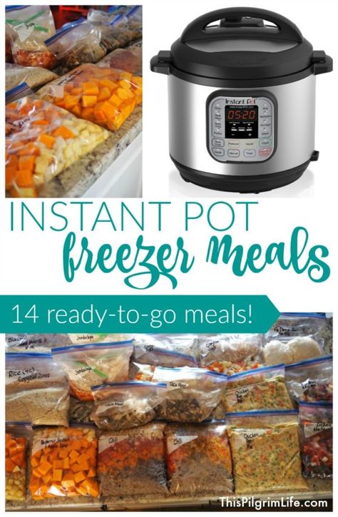 Make-Ahead Meatballs & Marinara - This Pilgrim Life Frozen Meal Prep, Salad Boats, Instant Pot Freezer, Instant Pot Freezer Meals, Whole30 Chicken, Electric Pressure Cooker Recipes, Freezer Meal Prep, Paleo Chicken, Easy Instant Pot Recipes