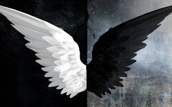 Good and Evil Fantasy Angel Wings Black & White Evil Wallpaper Desktop Wallpaper Black, Angel Wings Art, Wings Wallpaper, Black Angel Wings, White Angel Wings, Laptop Wallpaper Desktop Wallpapers, Laptop Backgrounds, Computer Wallpaper Desktop Wallpapers, Wings Art