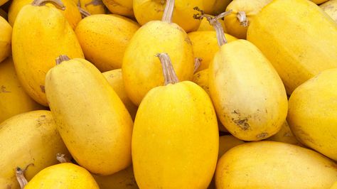 Freeze Spaghetti Squash, Freeze Spaghetti, Freezing Spaghetti Squash, Spaghetti Squash Seeds, Squash Spaghetti, Seeds Planting, Vegetable Spaghetti, Pasta Substitute, Garlic Spaghetti