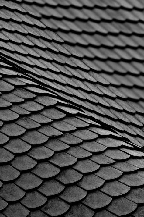 Japanese tile roof Japanese Roof, Roofing Shingles, Black And White Photograph, Organic Forms, Material Textures, Roof Tiles, Materials And Textures, Roof Shingles, Surface Textures