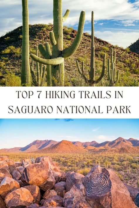 GET LOST IN NATURE’S BEAUTY: TOP 7 HIKING TRAILS IN SAGUARO NATIONAL PARK! Lost In Nature, Arizona Adventure, Saguaro National Park, Park Trails, National Parks Usa, Arizona Usa, National Parks Trip, Acadia National Park, Tucson Arizona