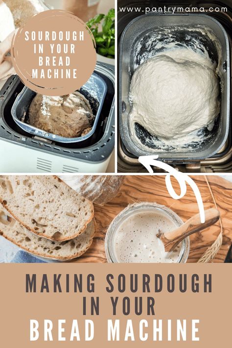 Bread Machine Sourdough, Sourdough Bread Machine, Best Bread Machine, Making Sourdough Bread, Sandwich Loaf, Sourdough Recipe, No Yeast Bread, Bread Maker Recipes, Best Bread