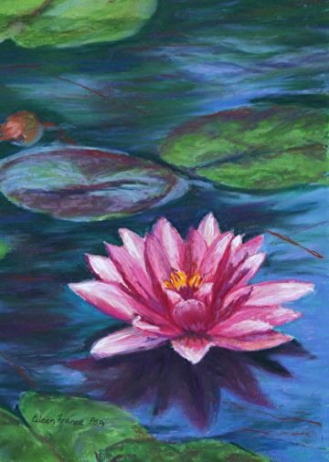 Oil Pastel Lily Pads, Lotus Flower Oil Pastel, Paintings Of Water Lilies, Water Lily Oil Pastel, Lily Pond Painting Easy, Waterlily Painting Acrylic, Water Lily Acrylic Painting, Water Lily Painting Acrylic Easy, Lotus Oil Pastel