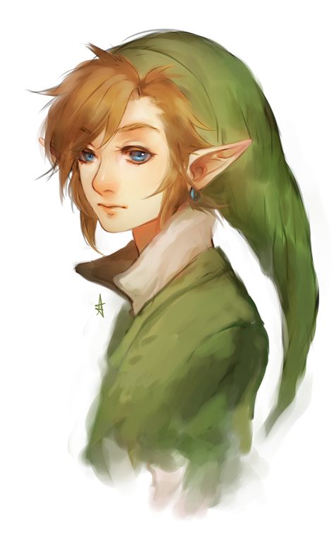 Link by Aikuwo.deviantart.com on @DeviantArt Link Fanart Botw, Triforce Art, Botw Fanart, Oot Link, Link Fanart, Link Legend Of Zelda, Evil Demons, Ben Drowned, Hyrule Warriors