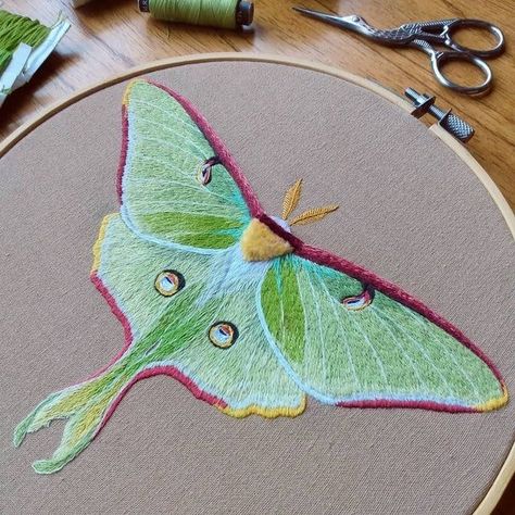 Beatle Insect Embroidery, Luna Moth Embroidery, Moth Embroidery, Bugs Embroidery, Embroidery Crafts, Clothes Embroidery Diy, The Crafts, Embroidered Art, Hand Embroidery Projects