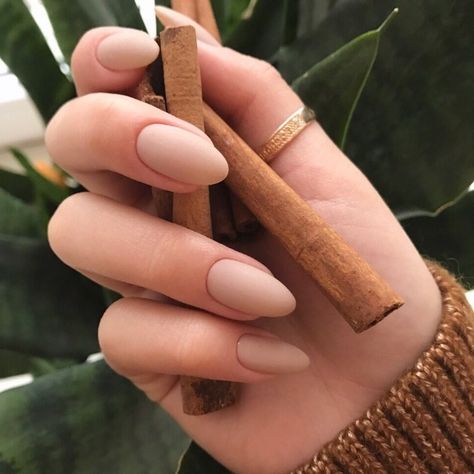 cinnamon-sticks-held-by-a-hand-with-sharp-oval-manicure-nude-matte-nails-and-a-gold-thumb-ring-brown-knitted-sweater-sleeve Oval Nail Art, Manicure Natural, Oval Nails Designs, Chic Manicure, Matte Nail Polish, Nude Nail Polish, Nude Nail, Nude Nail Designs, Trim Nails