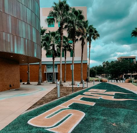 USF CAMPUS ♡ Usf Aesthetic, Florida College Aesthetic, Usf Tampa, University Of South Florida Aesthetic, Fsu Campus, Usc Aesthetic Campus, Florida A&m University, Florida State University Campus, Usf Bulls