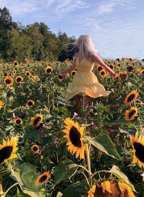 Sunflower Photoshoot Senior Pictures, Sunflower Inspo Pics, Sunflower Picture Poses, Sunflower Field Graduation Pictures, Sunflower Picking Outfit, Sunflower Patch Photoshoot Outfit, Sunflower Festival Photoshoot, Sunflower Field Picture Ideas, Senior Sunflower Pictures