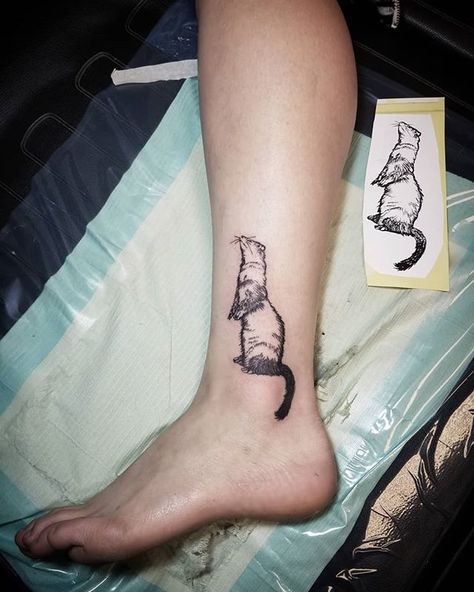 Aiygiwgwyaiydiwdwy Tattoo, Ferret Tattoos, Ferret Tattoo, Siren Tattoo, On Tattoo, Tattoo Female, Tattoo Leg, 2023 Nails, Fantasy Clothes