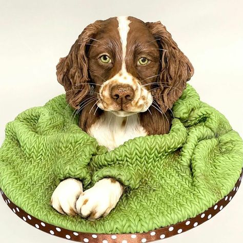 Realistic Cakes, Cake Show, Cake Artist, Bird Cakes, Sculpted Cakes, Cake Decorating Classes, Animal Cakes, Dog Cakes, 3d Cake