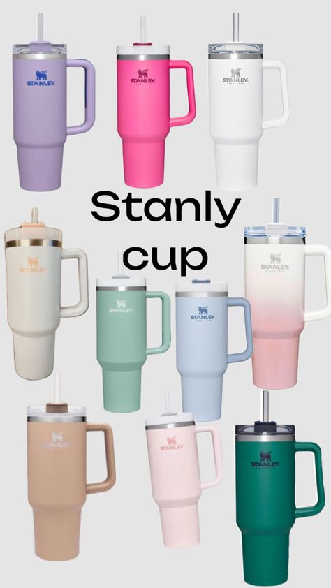 Stanley Colors, Water Bottels, Stanley Water Bottle, Trendy Water Bottles, Preppy Gifts, Cute Water Bottles, Entertaining Friends, Leyte, Healthy Lifestyle Inspiration