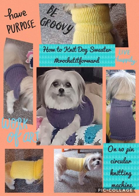 Hi everyone. Welcome to or back to my channel where I craft it forward in this quick tutorial by showing you How to Knit a Dog Sweater on a Circular Knitting Machine. I used my 40 pin off brand knitting machine for this project, however feel free to use bigger or smaller knitting machine to meet your pets measurements. Together, let's continue to craft it forward! Knitting Machine Dog Sweater, Circular Knitting Machine, Knit Dog Sweater, Knitting Machine Patterns, Knitting Machine Projects, How To Knit, Knitting Machine, Circular Knitting, Dog Sweater