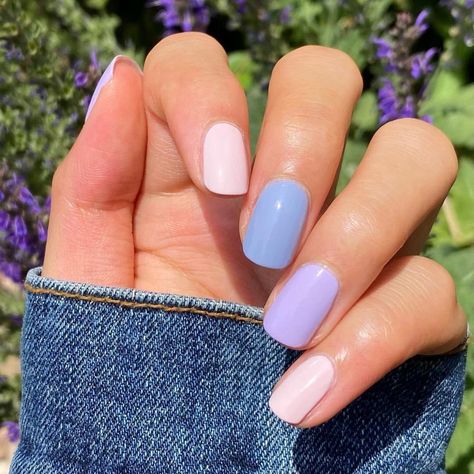 It's Friday and we're in love with these #SkittleNails by @laur.loves 💜💗 Shades: Movie Buff, Kanpai OPI, & Polly Want a Lacquer… Opi Polly Want A Lacquer, Kanpai Opi, It's Friday, Movie Buff, I Feel Pretty, Nail Paint, Pretty Makeup, Makeup Nails, Cute Nails