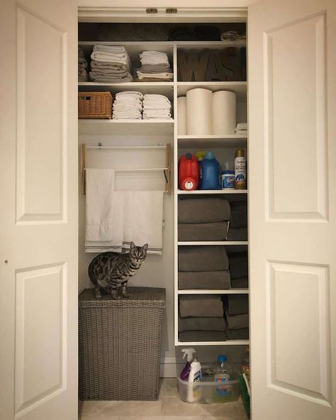 Bathroom Closet Shelving, Small Bathroom Closet Ideas, Shelving Ideas Bathroom, Bathroom Shelf Decor Ideas, Closet In Bathroom, Bathroom Shelving Ideas, Bathroom Closet Designs, Bathroom Closet Remodel, Shelf Decor Ideas