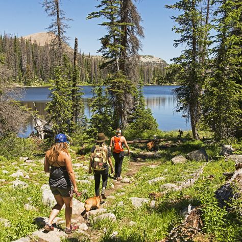 10 Must-Do Summer Adventures in Park City, Utah | Outdoor Project Park City Utah Summer, Utah Summer, Utah Trip, 2024 Board, Utah Vacation, Park City Ut, Utah Hikes, Ski Town, Utah Travel