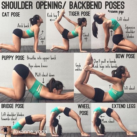 Quad Stretches, Engage Core, Backbend Poses, Pose Tutorial, Low Lunge, Beginner Pilates, Yoga Ashtanga, Quad Stretch, Puppy Pose