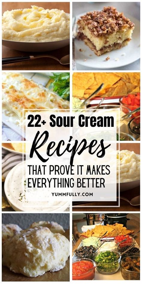 In these recipes, the creamy and tangy flavor of sour cream adds a delicious twist to both sweet and savory creations. From luscious sour cream coffee cakes to velvety stroganoff, these recipes showcase the versatility of this kitchen staple, making it a must-have for enhancing the flavor and texture of all your meals. Sour Cream Breakfast, Cream Cheese Mints Recipe, Christmas Baking Cookies, Cake Filling Recipes, Sour Cream Coffee Cake, Sour Cream Recipes, Salad Dressing Recipes Homemade, Mint Recipes, Chicken Main Dishes