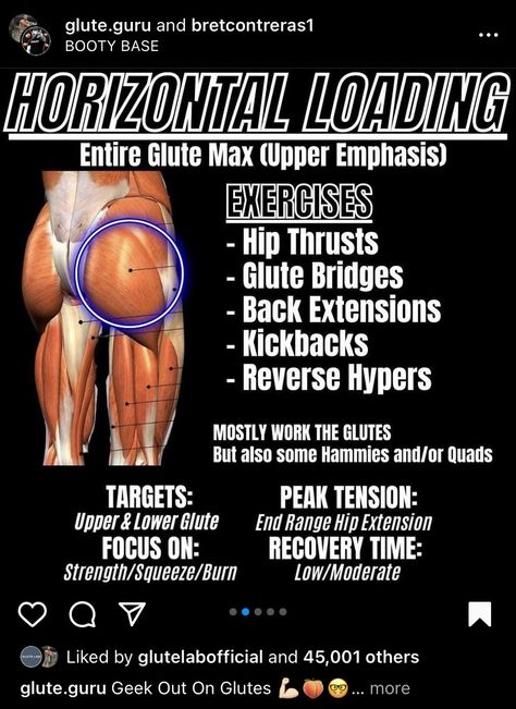 Glute Lab Bret Contreras, Killer Leg Workouts, Bret Contreras, Mens Workout, Glute Activation, Muscle Gain, Gym Tips, Muscle Anatomy, Different Exercises