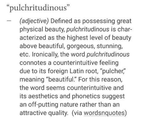 pulchritudinous Born To Win, Physical Beauty, A Quotes, Be Better, Of Ideas, To Win, Physics, Meant To Be, Word Search Puzzle