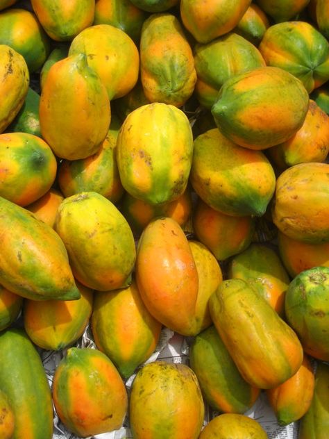 papaya Papaya Farming, Vegetables Pictures, Fruits And Vegetables Pictures, Fruit Nails, Vegetable Pictures, Bee Pictures, Fruit Stand, Fruit Stands, Tropical Fruits