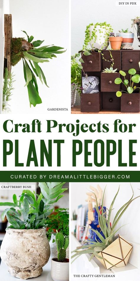 Do you have a love for indoor gardening? Check out these amazing DIY plant crafts that will green up your living spaces! Ever since I put cheap plastic flower pots full of marigolds out on the patio of my first apartment I've loved gardening. Great indoor activities for you and for kids to help! #diycrafts #diy #crafts #plants Flower Decor Ideas, Plant Activities, Plant People, Plant Pot Diy, Plant Crafts, Plant Projects, Wood Plant Stand, Plastic Flower Pots, Plastic Flower